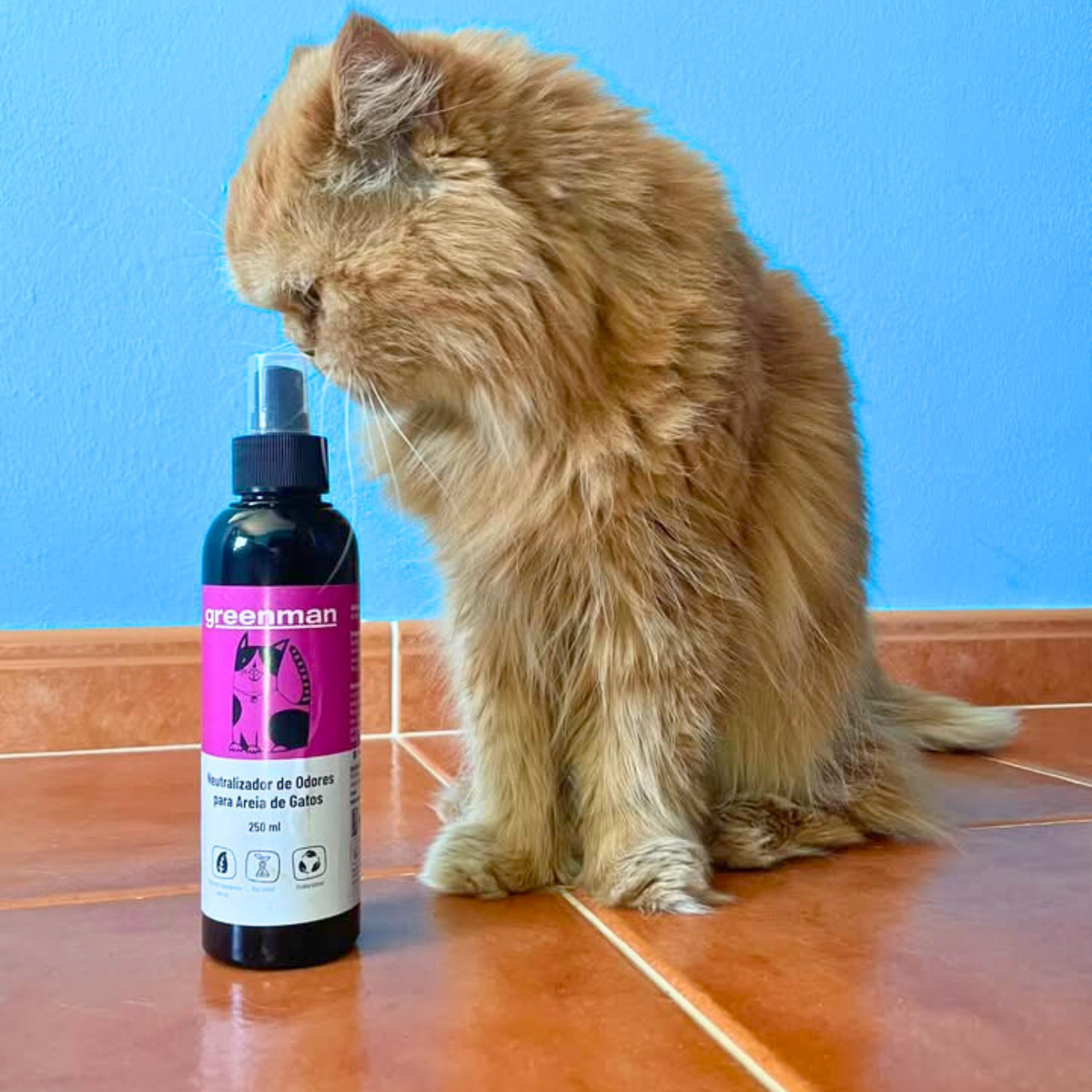Desodorizante Probiótico para Areia de Gato – Controlo Natural dos Odores
