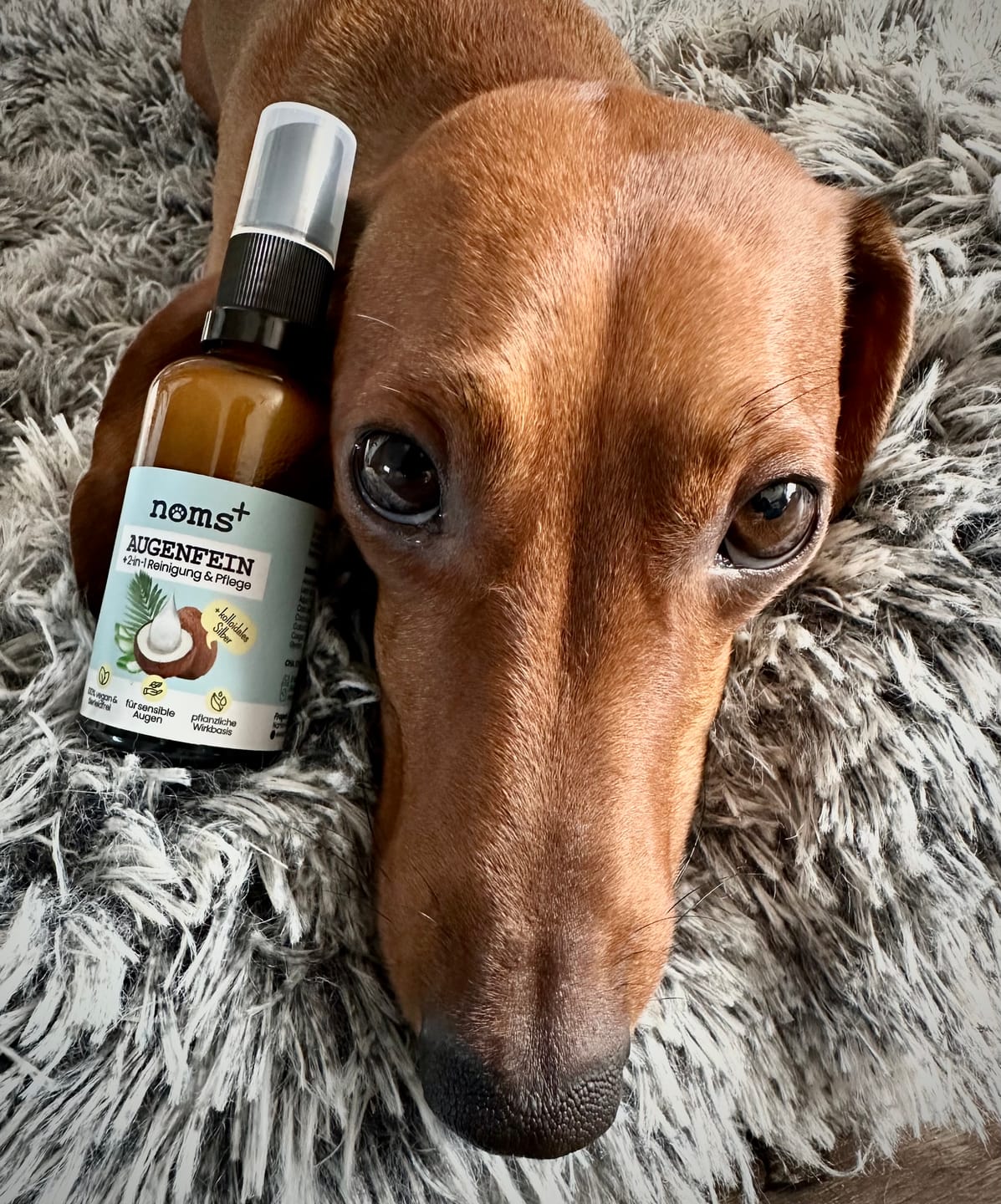 Conjunto 2 em 1 de Higiene dos Olhos e Ouvidos para Cães e Gatos com Prata Coloidal (2 × 50 ml)