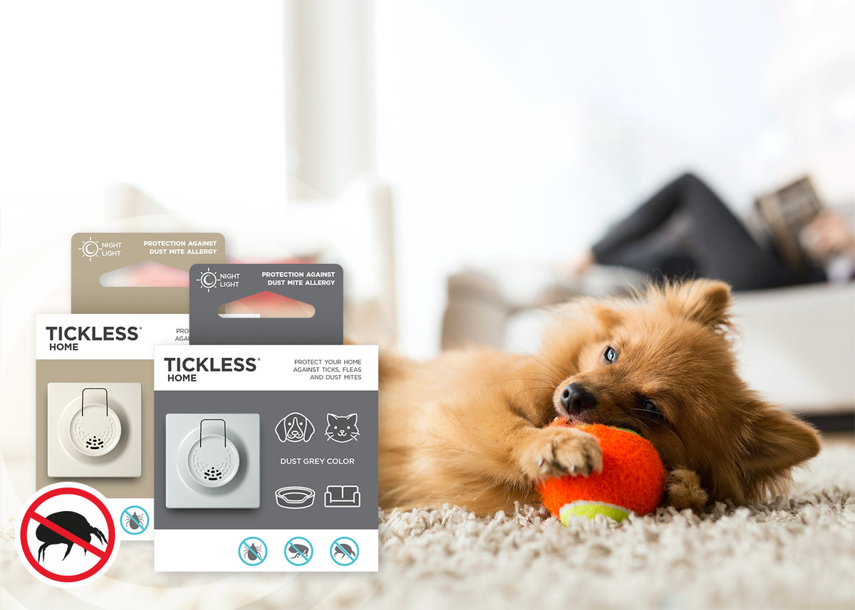 TICKLESS Home