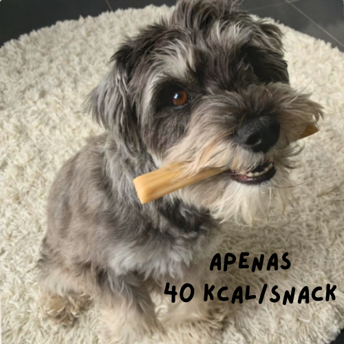 QCHEFS – Snacks Naturais para a Higiene Oral dos Cães