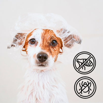 Conjunto de Sabonetes Naturais para Cães – Neem Antiparasitário e Aveia e Mel Suave (2 × 30 g)