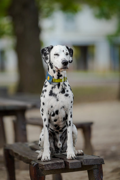 TICKLESS® Pet – Repelente Ultrassónico de Carraças e Pulgas para Animais