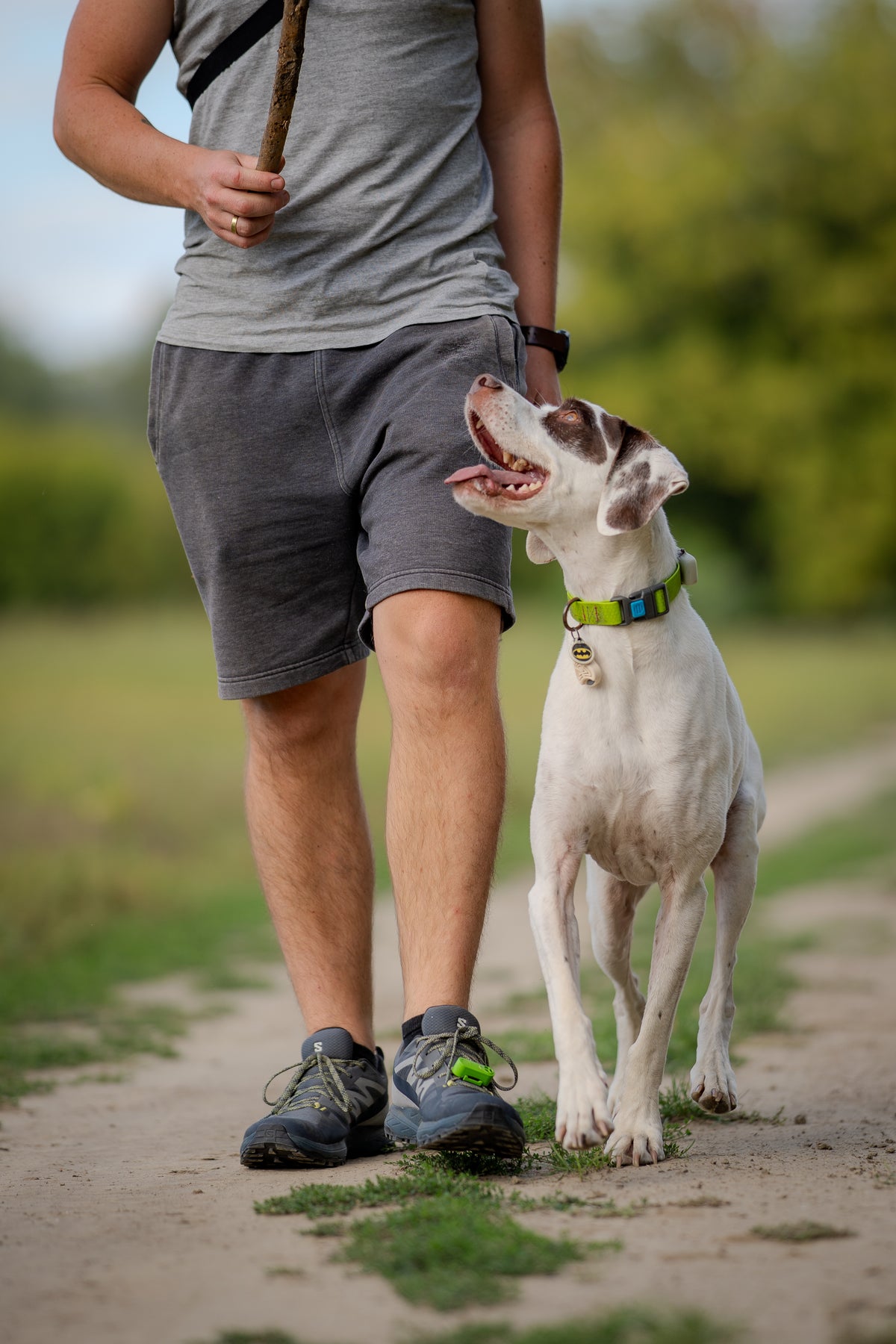 TICKLESS® Pet – Repelente Ultrassónico de Carraças e Pulgas para Animais