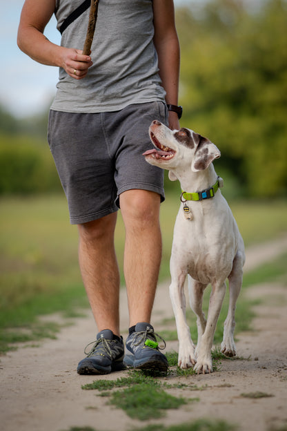 TICKLESS® Pet – Repelente Ultrassónico de Carraças e Pulgas para Animais