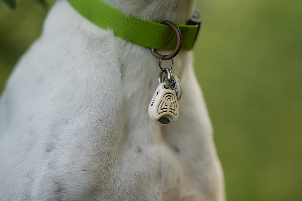 TICKLESS® Pet – Repelente Ultrassónico de Carraças e Pulgas para Animais