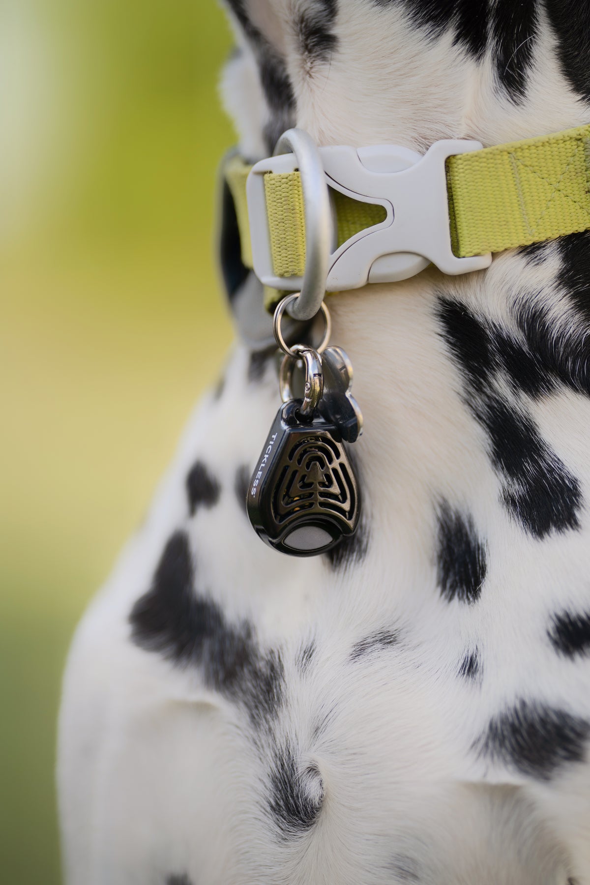 TICKLESS® Pet – Repelente Ultrassónico de Carraças e Pulgas para Animais