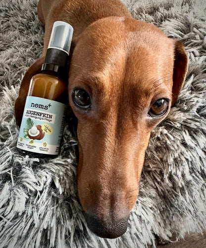 Conjunto 2 em 1 de Higiene dos Olhos e Ouvidos para Cães e Gatos com Prata Coloidal (2 × 50 ml)