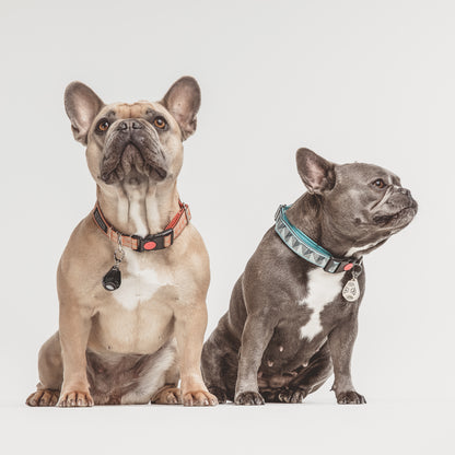 TICKLESS® Pet – Repelente Ultrassónico de Carraças e Pulgas para Animais