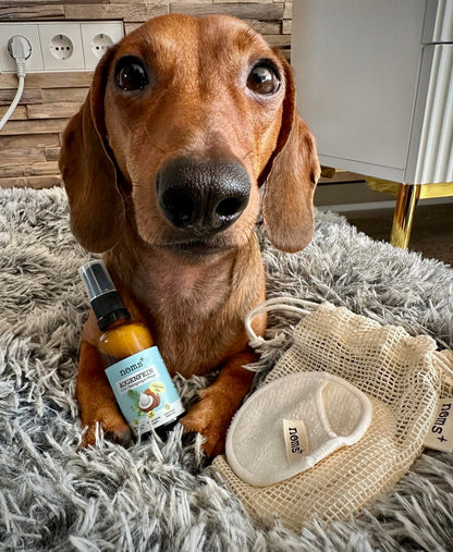 Conjunto 2 em 1 de Higiene dos Olhos e Ouvidos para Cães e Gatos com Prata Coloidal (2 × 50 ml)