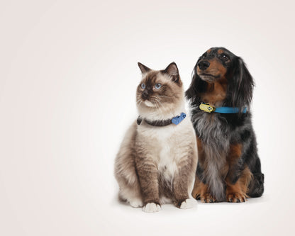 TICKLESS® Mini – Repelente Ultrassónico de Carraças e Pulgas para Animais de Pequeno Porte