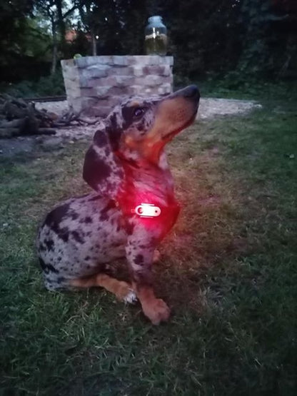 TICKLESS® Mini – Repelente Ultrassónico de Carraças e Pulgas para Animais de Pequeno Porte